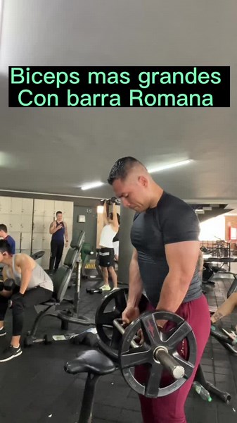 Ejercicio de Bíceps con Barra Romana: Consejos para un Entrenamiento Efectivo