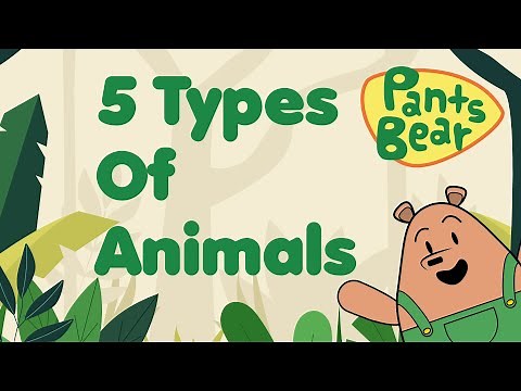 Animal classification for Kids | Mammals, Birds, Reptiles, Amphibians & Fish | Animal Groups