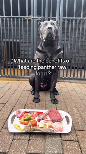 What are the benefits of feeding panther raw food ? | panther