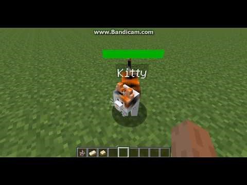 [TUTO] Minecraft comment apprivoiser un chat de mo creature [1.7.10-1.8]