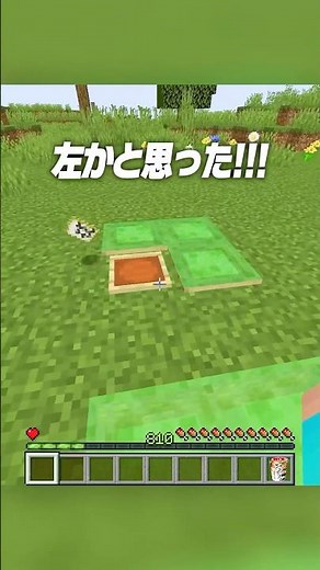 本物はどれ？？🤨 #shorts #マイクラ