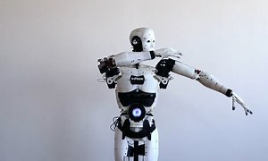 Top of the 3D printed robot projets