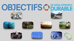 Objectif 2030 : Mooc sur le développement durable