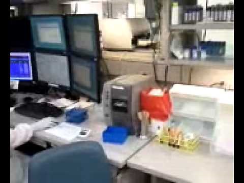 The laboratory Specimens Processing