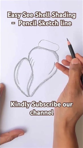 Simple See Shell Shading #drawing #art #howtodraw #shots #pencilart