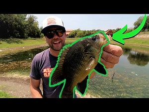 ULTRA-LIGHT CRITTERS slayed in this TOXIC micro pond! (Vintage Rebel Ultralights)