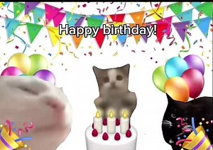 Send this to someone on their birthday!! #birthday #cat #car #cutecat #memecat #jumpingcat #foryou #fyp #catmeme #happybirthday #happybday