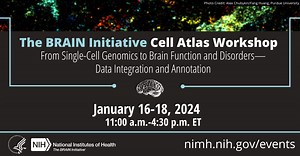 The BRAIN Initiative® Cell Atlas Workshop: From Single-Cell Genomics to Brain Function and Disorders—Data Integration and Annotation