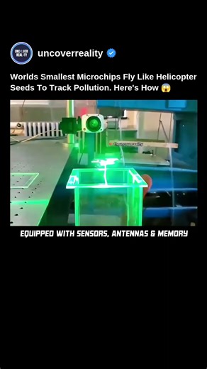 World's Smallest Microchips Fly Like Helicopter Seeds To Track Pollution. Here's How #robot #shorts