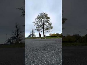 The raw footage of the rope snapping, beech tree nearly falls back hitting two vans and one car.