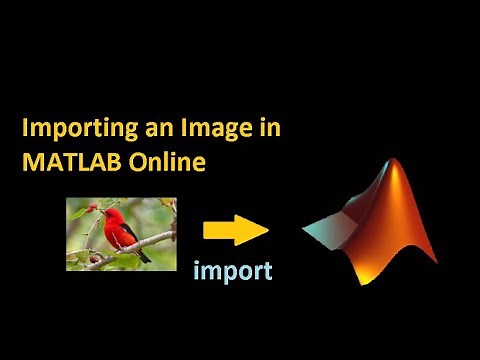How to Import an Image in MATLAB Online | Import Image to MATLAB Drive