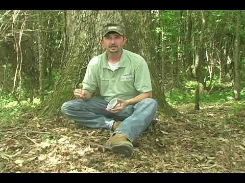 Turkey Calling Instruction- KeeKee