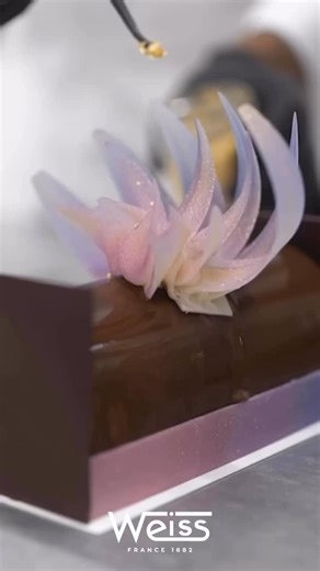 Noël approche ! Pour inspirer les Chefs et Artisans pour ces fêtes de fin d’année, Jonathan Chauve, Chef Pâtissier et Chocolatier de Weiss, a imaginé une Bûche chocolat & praliné. 🎄Pain d’Eugène Praliné Noisettes Piémont 60-40 🎄 Mousse légère Komélé 70% 🎄 Crémeux caramel / vanille grillée 🎄 Biscuit Komélé 70% 🎄 Crémeux lait entier de France 36% et thé fumé 🎄 Décors Anëo 34% _ Christmas is just around the corner! To inspire chefs and artisans this festive season, Jonathan Chauve, Chef Pâtis