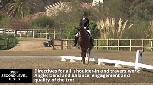 34K views · 565 reactions | Plan It. Learn It. Ride It. With On the Levels from USEF and USDF, you can watch examples of the new Introductory thrugh Fourth Level dressage tests, with commentary from top U.S. Trainers and judges. In this preview, Steffen Peters comments of the new Second Level test. Go to www.onthelevels.com to learn more about On the Levels. | US Equestrian | Facebook