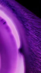 Experience the NEW fragrance Alien Extraintense by Mugler with its delectable key notes of vanilla, jasmine and tuberose. | Ulta Beauty