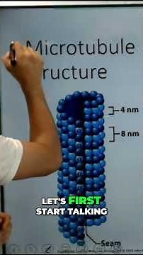 Unlocking Microtubule Magic: Structure & Function Explained
