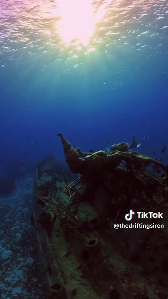 Underwater Mermaids: A Deep Dive into Siren Legends