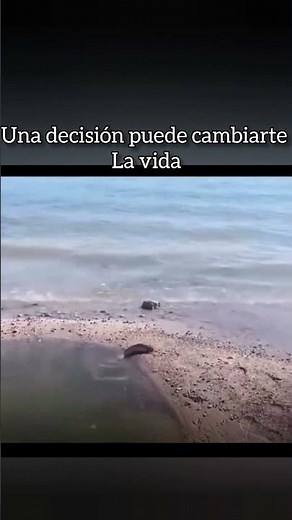 El salto que lo cambió todo | Una decisión puede cambiar tu vida | Motivación corta