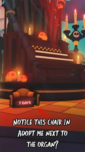 Could This Next Halloween Pet be Some Kind of Cat?