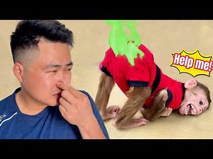 SuSu Monkey Pooping And Looking For Dad To Change Diapers