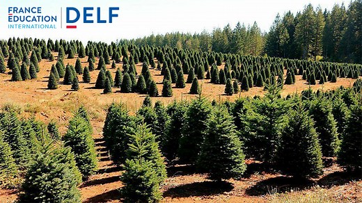 DELF B2 - Entrainement à l'épreuve de compréhension orale - Session 1