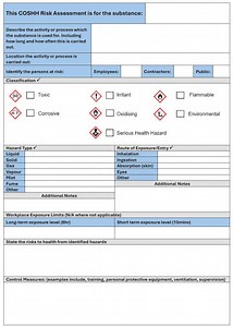 COSHH Risk Assessment Digital Template - Etsy
