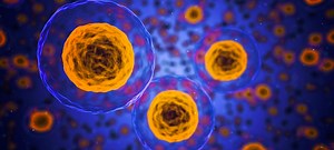 How T Cells Get Some Much-Needed Rest | Immunology