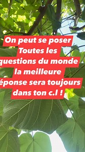 122K views · 345 reactions | Réponse universelle #humour #finesse | Un Tee Shirt à la con | Facebook