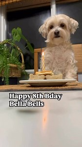 24 reactions · 6 comments | Happy Birthday to the best cuddle buddy ever—you make my world so much sweeter! | Herdel Gonzales | Facebook