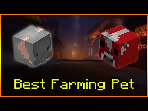 Hypixel Skyblock - BEST Farming Pet!?