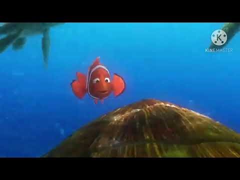 Finding Nemo - News About Nemo
