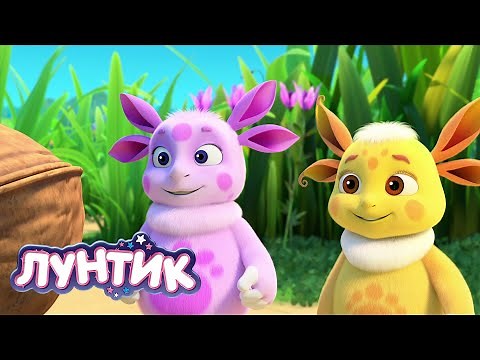 Лунтик | Орех | 532 серия | Мультики для детей