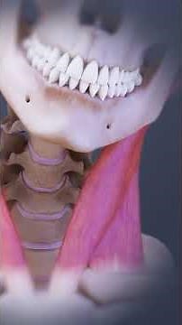 Neck Spasms, SI Joint Pain & Vertebrogenic Pain Explained!