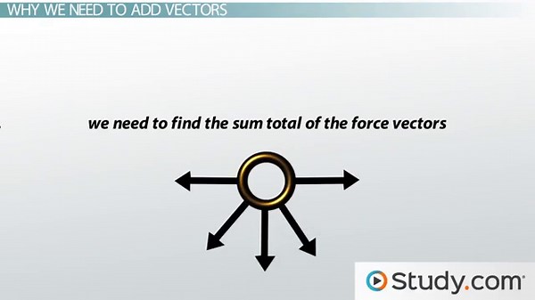 Vector Addition | Geometric Approach, Calculation & Examples