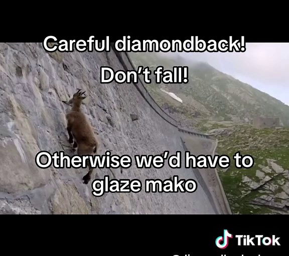 Mako Coaster Review: A Thrilling Adventure at Kings Island