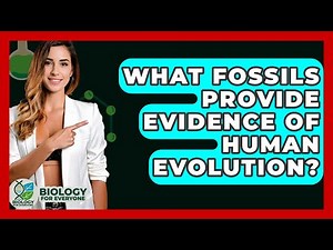 What Fossils Provide Evidence Of Human Evolution? - Biology For Everyone