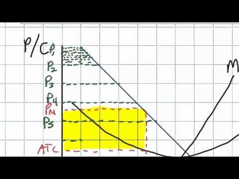 First Degree Price Discrimination and its Effect on Efficiency in a Monopolistic Market