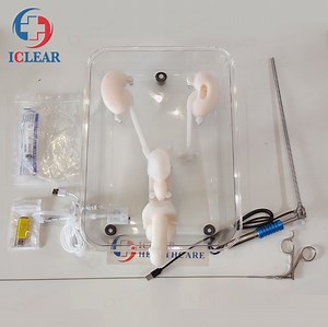 [Hot Item] Ureteroscopy Simulation Training Urinary Endoscopy Training Model Hollow Material Is Soft and Tough