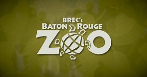 Animals, education, conservation, family, fun, all ages ..... enjoy a virtual day at the Zoo! Then, come see the real thing real soon! | BREC's Baton Rouge Zoo
