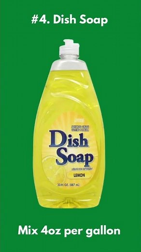 5 Ways to Get Rid of Moss in Your Yard