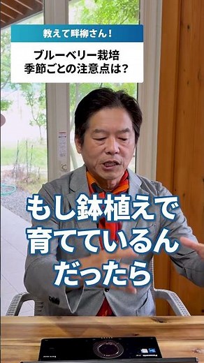 【ブルーベリー栽培の季節ごとの注意点！】#脱サラ #農業起業 #ブルーベリーファームおかざき #観光農園 #ブルーベリー #春 #秋 #shorts