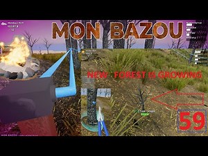 Planting new maple trees - Mon Bazou