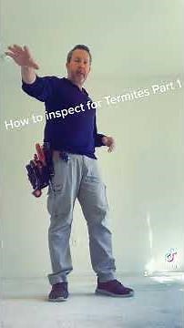 How to inspect for termites in a house with a concrete slab