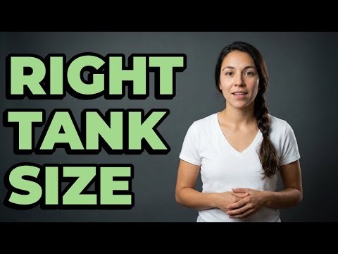 What Are Bearded Dragon Enclosure Size Requirements?