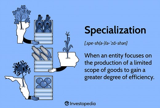 What Is Specialization in Economics? Definition and Examples