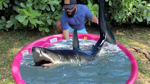 We Turned a Kiddie Pool Into a Fish Pond! Easy DIY for the Family!