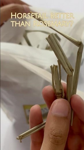 The Incredible Hair Growth Benefits of Horsetail