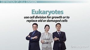 Cell Division | Overview, Process & Purpose