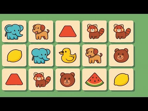 Find the Matching Pair! Fun & Addictive Puzzle Game Challenge - 40