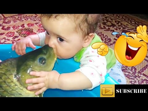 Funny baby animals compilation | Funny baby with animal compilation |